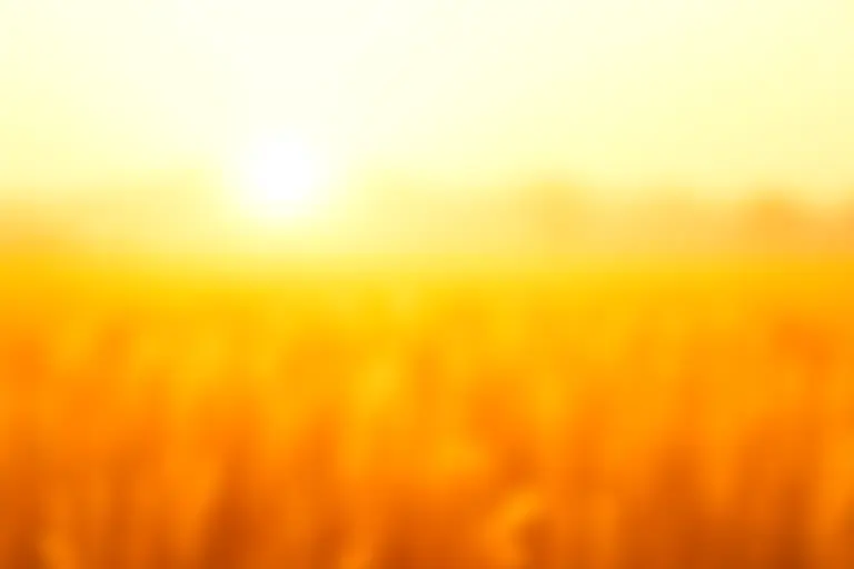 Swarm of insects filling the air above a wheat field