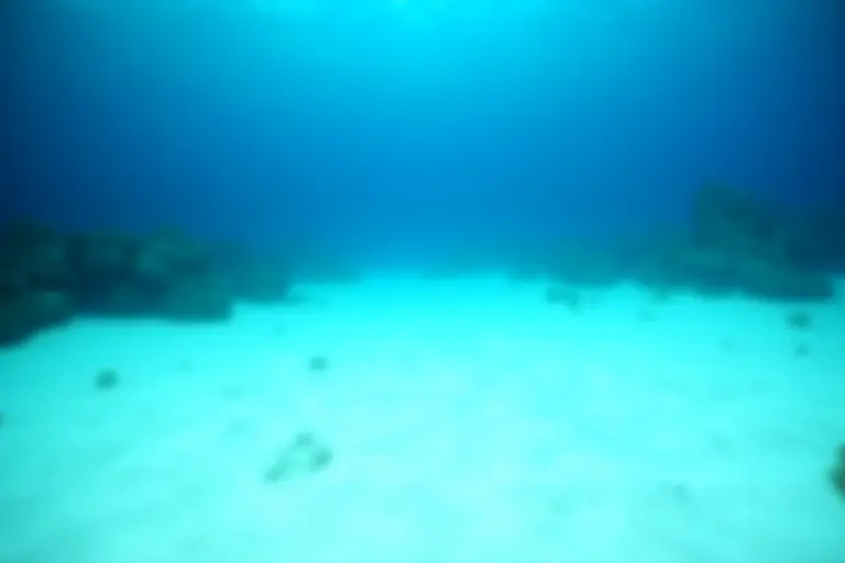 An underwater landscape of bare rock and sand stretching into murky blue distance