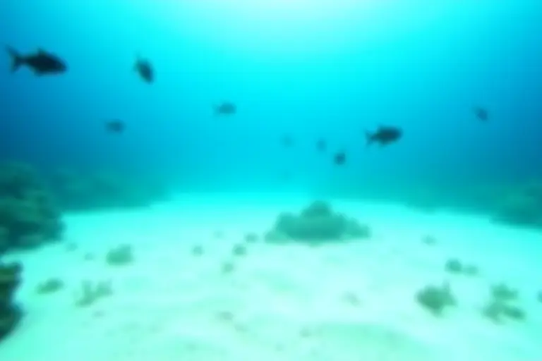 Barren ocean floor where a coral reef used to be with confused fish swimming above sand
