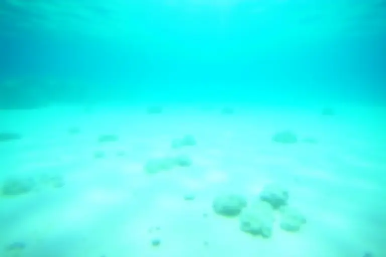 Bleached coral reef in shallow clear water