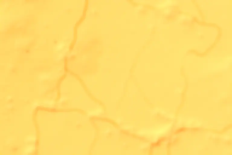 Satellite image showing ancient river channels beneath Saharan sand
