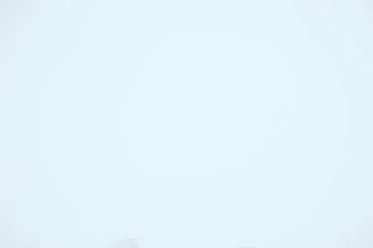 Antarctic whiteout conditions with no visible horizon