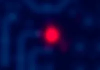 What If AI Could Feel Pain?