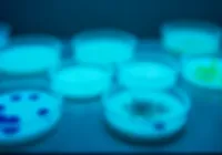 What If All Bacteria Became Antibiotic-Resistant?