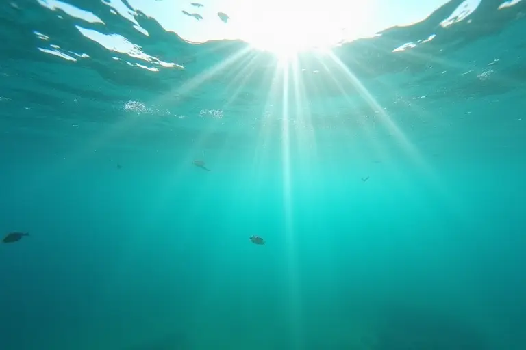 Ocean surface with sunlight filtering through clean water