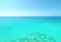 What If All Plastic Disappeared Overnight?