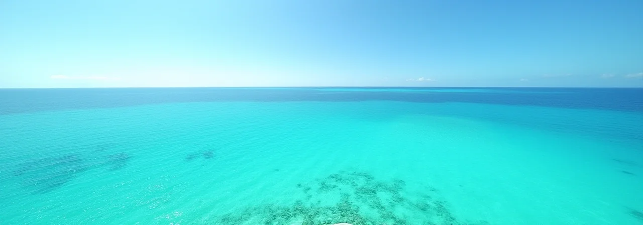 What If All Plastic Disappeared Overnight?