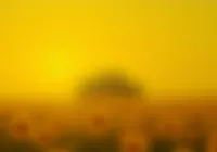 What If Bees Went on Strike?