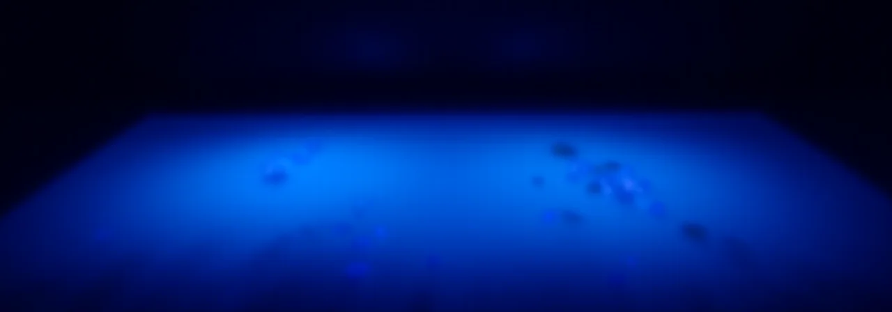 What If Humans Could See Every Germ?