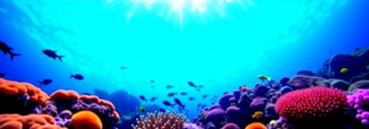 What If the Great Barrier Reef Fully Recovered?