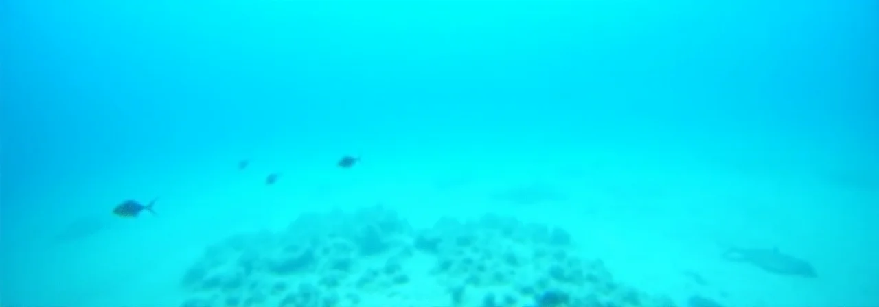 What If the Oceans Were Freshwater?
