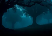 What If Trees Could Walk?