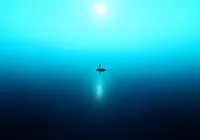 What If You Were Stranded on the Open Ocean?